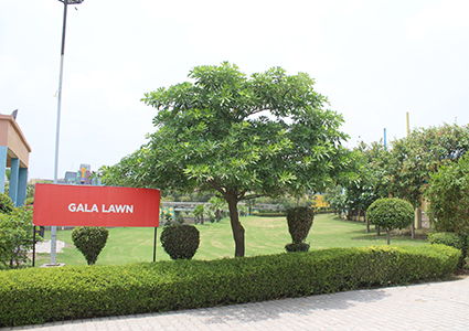 gala-lawn4-th.jpg